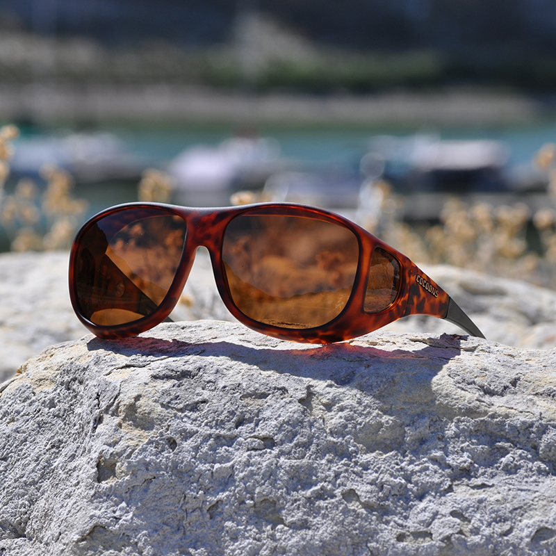 Pilot (L) Tortoise Polarized Amber | Cocoons