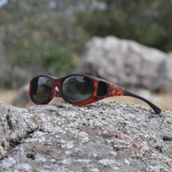 Stream Line (S) Tortoise Polarized Gray