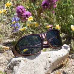 Vistana Large (L) Burgundy Polarized Gray