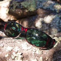 Style Line (MX) Black Cherry Polarized Gray - Image 2