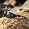 Stream Line Cocoons fitover sunglasses in Black Cherry