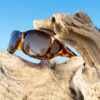 Style Line (MX) Leopard Polarized Amber