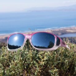 Style Line (MX) Blush Polarized Gray
